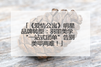 《爱情公寓》明星品牌转型:羽墨美学“一站式团单”告别美甲两难!