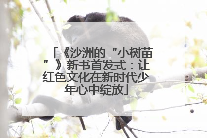 《沙洲的“小树苗”》新书首发式：让红色文化在新时代少年心中绽放