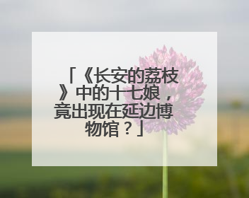 《长安的荔枝》中的十七娘，竟出现在延边博物馆？
