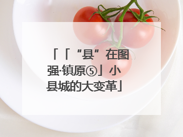 「“县”在图强·镇原⑤」小县城的大变革