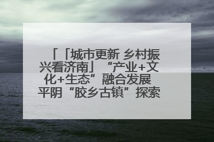 「城市更新 乡村振兴看济南」“产业+文化+生态”融合发展 平阴“胶乡古镇”探索振兴路径成效显著