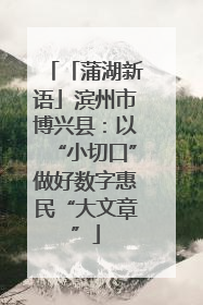 「蒲湖新语」滨州市博兴县：以“小切口”做好数字惠民“大文章”