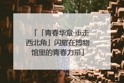 「青春华章·重走西北角」闪耀在博物馆里的青春力量