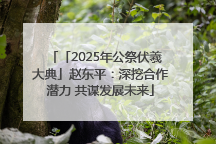 「2025年公祭伏羲大典」赵东平：深挖合作潜力 共谋发展未来