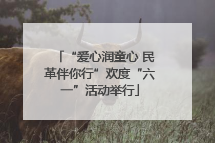“爱心润童心 民革伴你行”欢度“六一”活动举行
