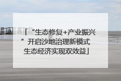 “生态修复+产业振兴”开启沙地治理新模式 生态经济实现双效益