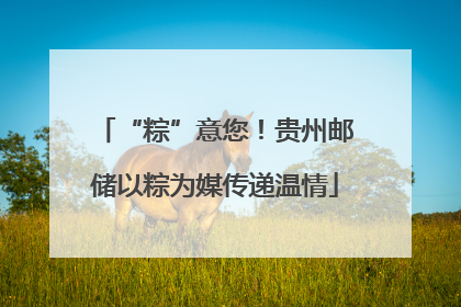 “粽”意您！贵州邮储以粽为媒传递温情