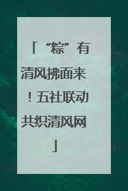 “粽”有清风拂面来！五社联动共织清风网