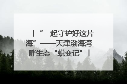“一起守护好这片海”——天津渤海湾畔生态“蜕变记”