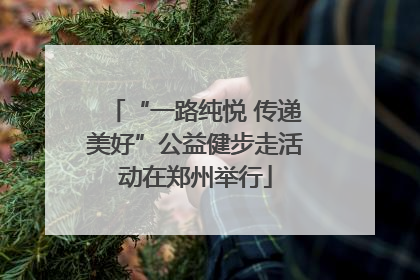 “一路纯悦 传递美好”公益健步走活动在郑州举行