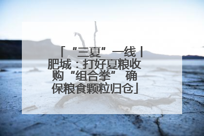 “三夏”一线丨肥城：打好夏粮收购“组合拳” 确保粮食颗粒归仓