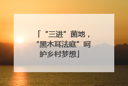 “三进”菌地，“黑木耳法庭”呵护乡村梦想