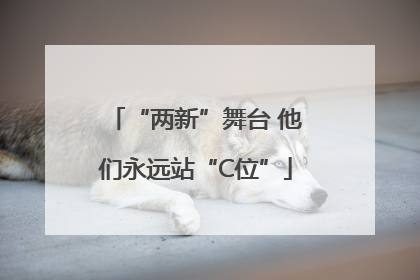 “两新”舞台 他们永远站“C位”