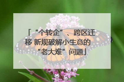 “个转企”、跨区迁移 新规破解小生意的“老大难”问题