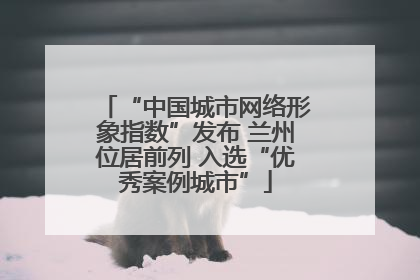 “中国城市网络形象指数”发布 兰州位居前列 入选“优秀案例城市”