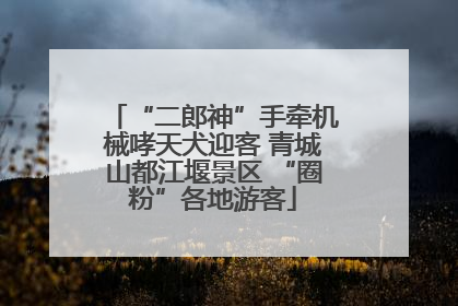 “二郎神”手牵机械哮天犬迎客 青城山都江堰景区 “圈粉”各地游客