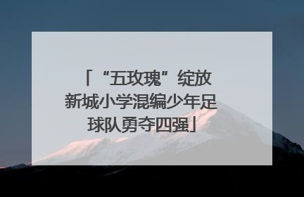 “五玫瑰”绽放 新城小学混编少年足球队勇夺四强