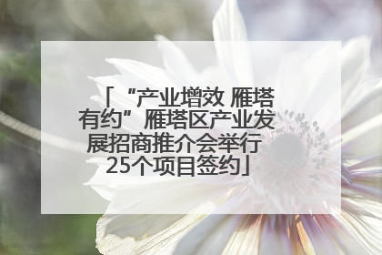“产业增效 雁塔有约”雁塔区产业发展招商推介会举行 25个项目签约