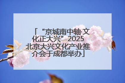 “京城南中轴·文化正大兴”2025北京大兴文化产业推介会于成都举办