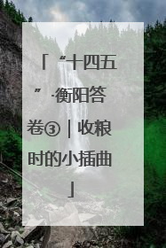 “十四五”·衡阳答卷③｜收粮时的小插曲