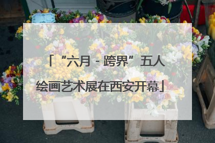 “六月 - 跨界”五人绘画艺术展在西安开幕