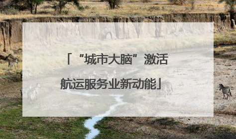 “城市大脑”激活航运服务业新动能