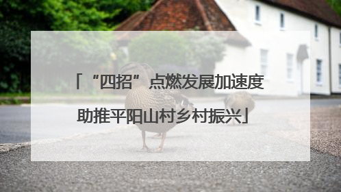 “四招”点燃发展加速度 助推平阳山村乡村振兴