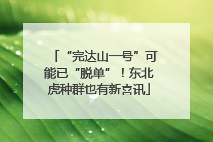 “完达山一号”可能已“脱单”！东北虎种群也有新喜讯
