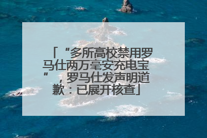 “多所高校禁用罗马仕两万毫安充电宝”，罗马仕发声明道歉：已展开核查