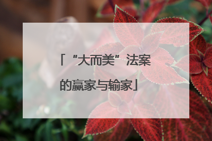 “大而美”法案的赢家与输家