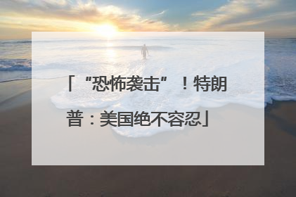 “恐怖袭击”！特朗普：美国绝不容忍