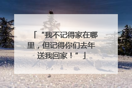 “我不记得家在哪里，但记得你们去年送我回家！”