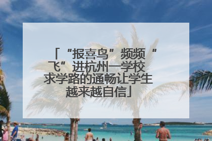 “报喜鸟”频频“飞”进杭州一学校 求学路的通畅让学生越来越自信