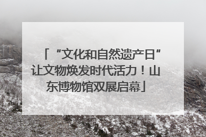 “文化和自然遗产日”让文物焕发时代活力！山东博物馆双展启幕