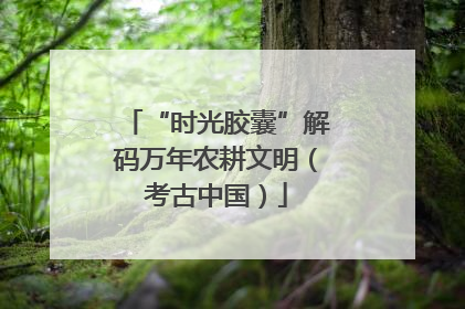 “时光胶囊”解码万年农耕文明（考古中国）