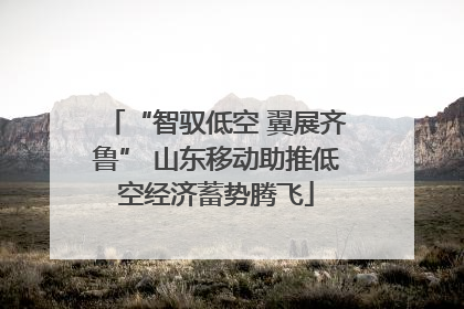 “智驭低空 翼展齐鲁” 山东移动助推低空经济蓄势腾飞
