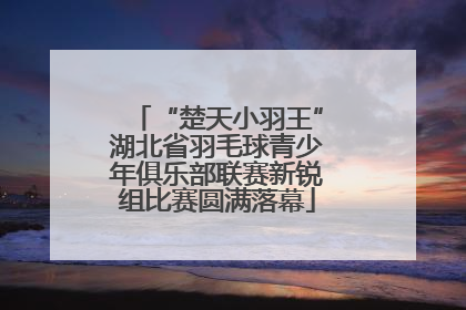 “楚天小羽王”湖北省羽毛球青少年俱乐部联赛新锐组比赛圆满落幕