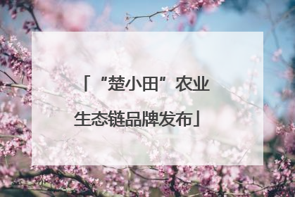 “楚小田”农业生态链品牌发布