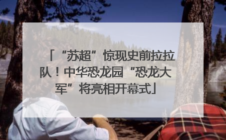 “苏超”惊现史前拉拉队！中华恐龙园“恐龙大军”将亮相开幕式