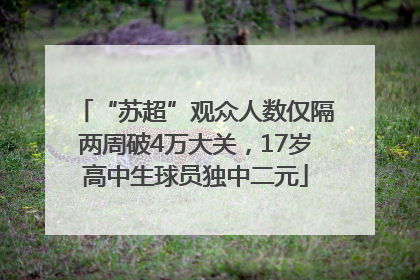 “苏超”观众人数仅隔两周破4万大关，17岁高中生球员独中二元