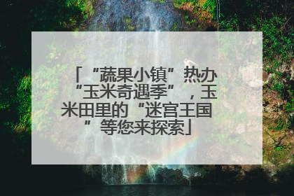“蔬果小镇”热办“玉米奇遇季”，玉米田里的“迷宫王国”等您来探索
