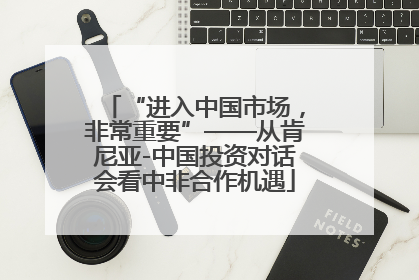 “进入中国市场，非常重要”——从肯尼亚-中国投资对话会看中非合作机遇