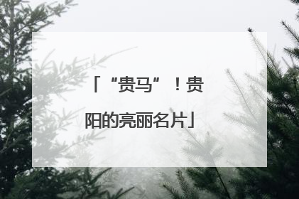 “贵马”！贵阳的亮丽名片