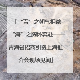 “青”之朝气相邀 “海”之胸怀奔赴——青海省招商引资上海推介会现场见闻