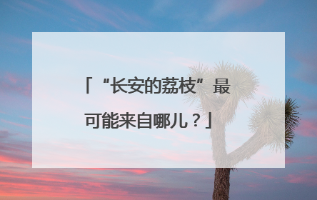 “长安的荔枝”最可能来自哪儿？