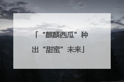 “麒麟西瓜”种出“甜蜜”未来