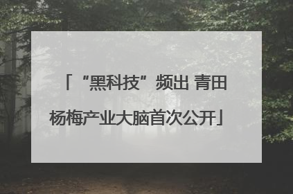 “黑科技”频出 青田杨梅产业大脑首次公开
