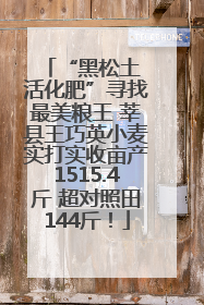 “黑松土 活化肥”寻找最美粮王 莘县王巧英小麦实打实收亩产1515.4斤 超对照田144斤！