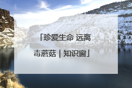 珍爱生命 远离毒蘑菇｜知识窗