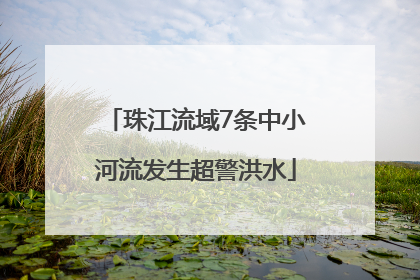 珠江流域7条中小河流发生超警洪水